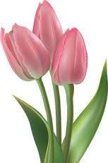 Pure Garment Dyed Cotton Shirt